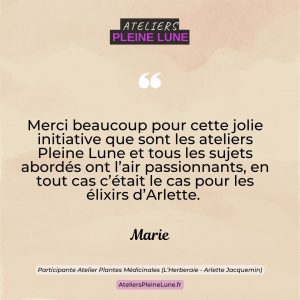 Avis Ateliers Pleine Lune Lannion (7)