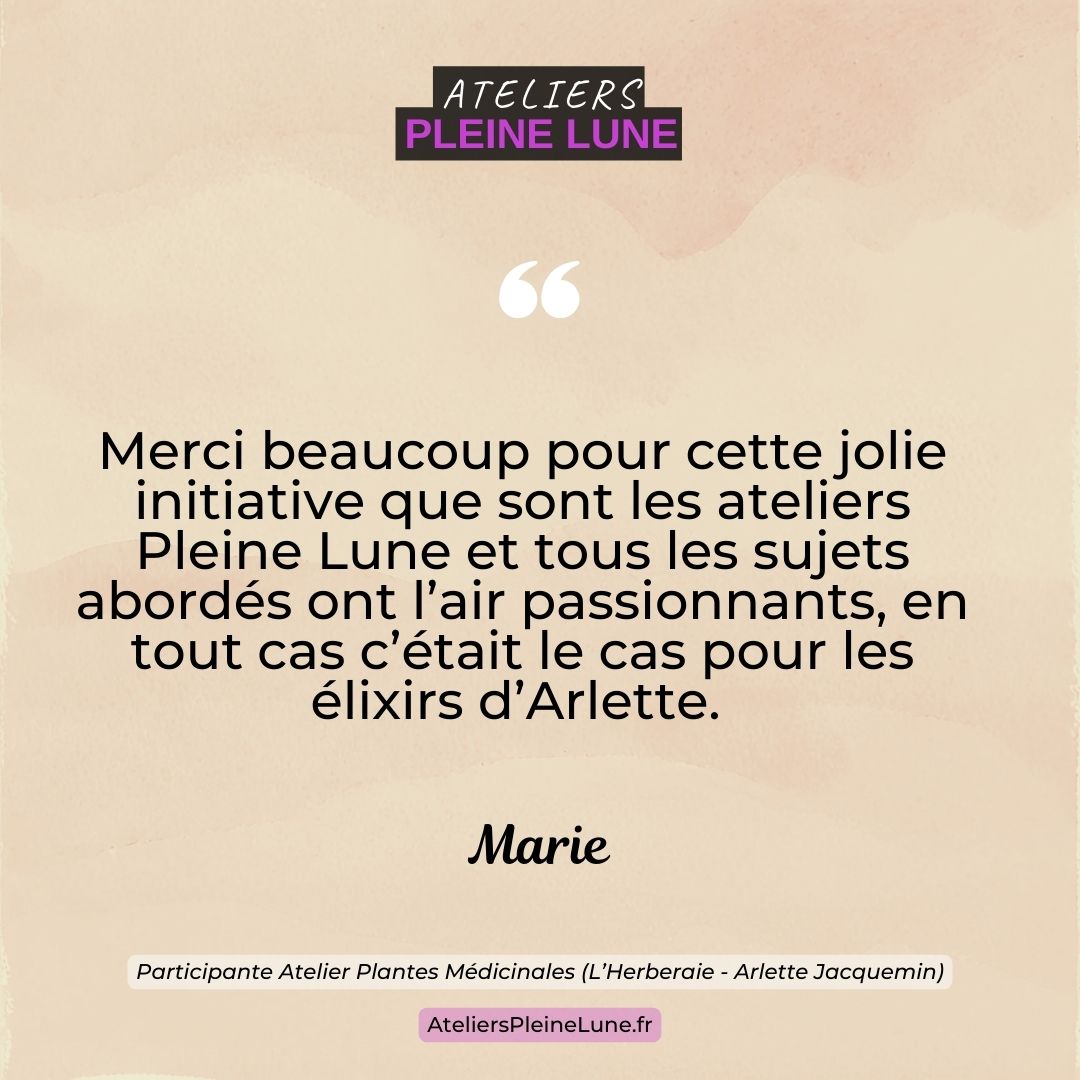 Avis Ateliers Pleine Lune Lannion (7)