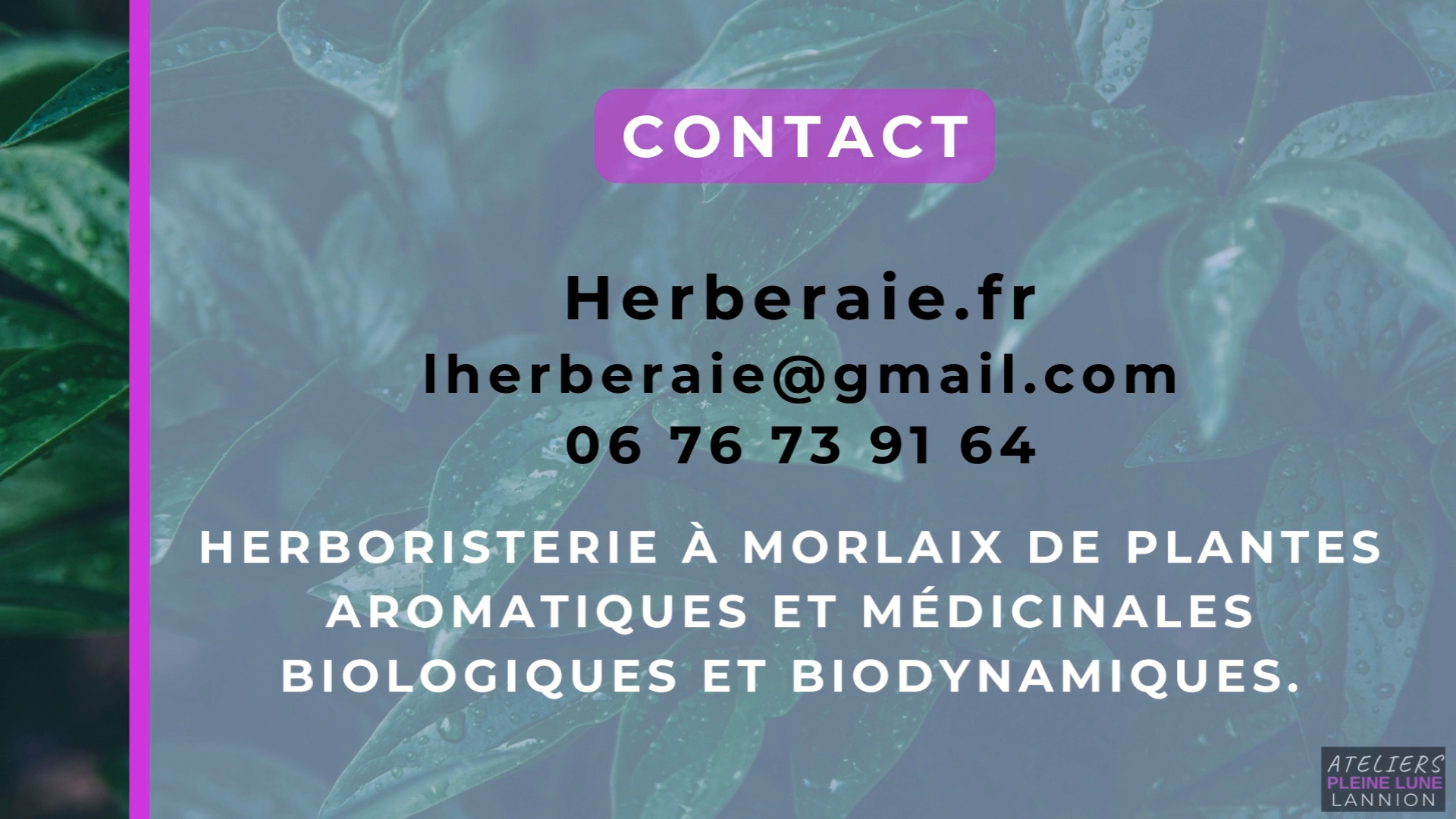 Herboriste - L-herberaie - Finistere - Cotes-d-armor - ésotérisme