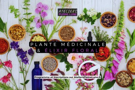 Plante médicinale - elixir floral - Ateliers Pleine Lune - Lannion - Cotes d'armor - Bretagne