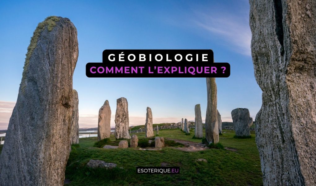 Comment expliquer la Geobiologie