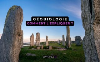 Comment expliquer la Geobiologie