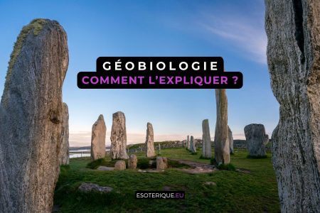 Comment expliquer la Geobiologie