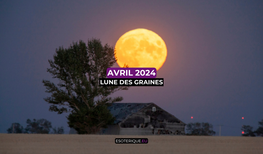 Pleine Lune avril 2024 (7)