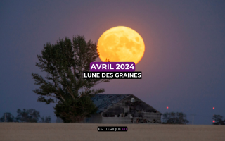 Pleine Lune avril 2024 (7)