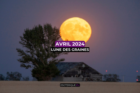 Pleine Lune avril 2024 (7)