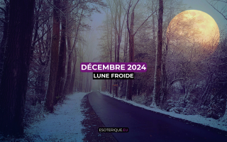 Pleine Lune décembre 2024 (4)