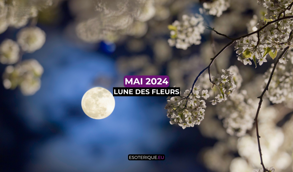 Pleine Lune mai 2024 (8)