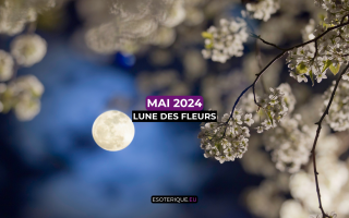 Pleine Lune mai 2024 (8)