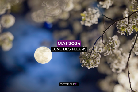 Pleine Lune mai 2024 (8)
