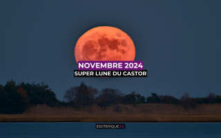 Pleine Lune novembre 2024 (3)