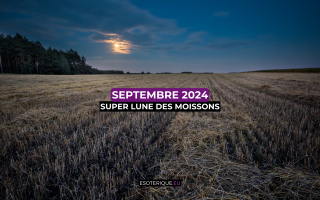 Pleine Lune septembre 2024 (12)