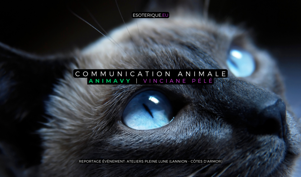 Animavy - Vinciane Pélé - Ateliers Pleine Lune - Lannion - Atelier Communication animale