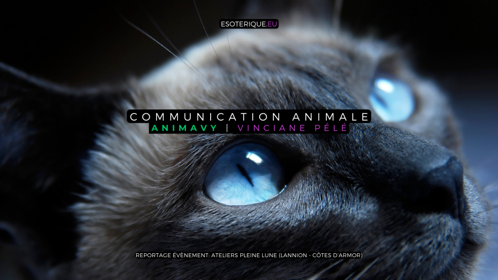 Animavy - Vinciane Pélé - Ateliers Pleine Lune - Lannion - Atelier Communication animale