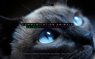 Animavy - Vinciane Pélé - Ateliers Pleine Lune - Lannion - Atelier Communication animale