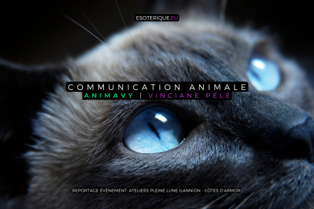 Animavy - Vinciane Pélé - Ateliers Pleine Lune - Lannion - Atelier Communication animale
