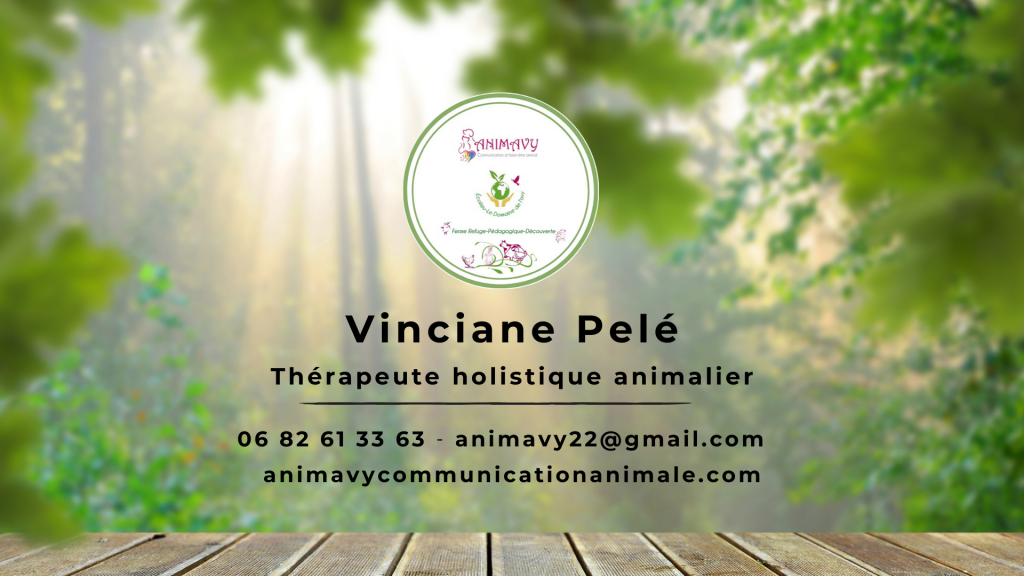 Atelier Communication animale - Animavy - Ateliers Pleine Lune