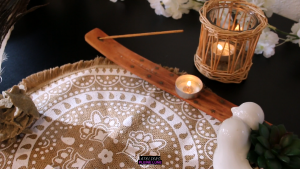 Ateliers Pleine Lune - Animavy - Vinciane Pelé - Communication animale (1)