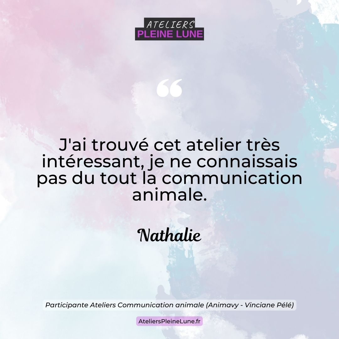 Avis - Ateliers Pleine Lune - Animavy - Vinciane Pélé - Communication animale (7)