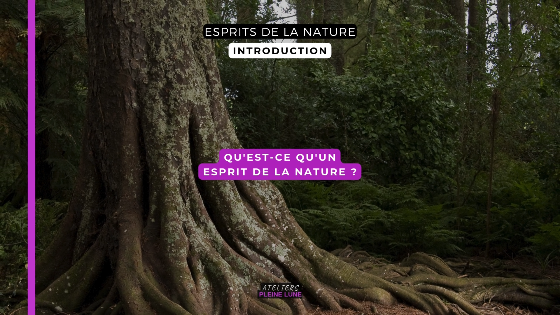 Version raccourcie Copier 01.00_00_34_05.Still005