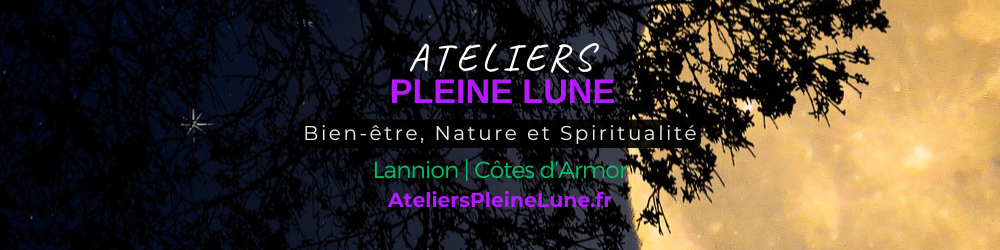 ATELIERS PLEINE LUNE - LANNION (Bannière 1000 x 250 px) ATELIERS PLEINE LUNE - LANNION (Bannière 1000 x 250 px)
